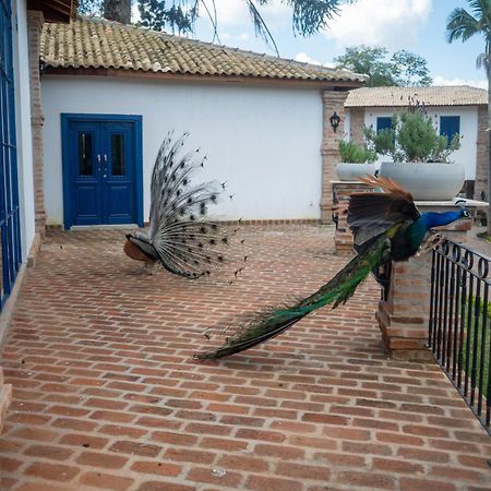 Hotel Fazenda Sao Silvano 모룽가바 외부 사진