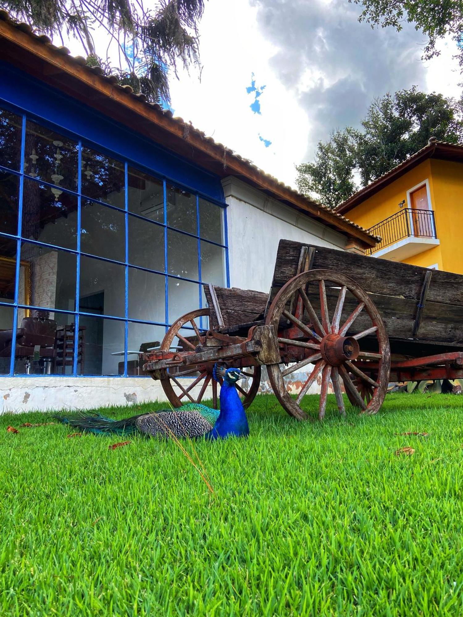 Hotel Fazenda Sao Silvano 모룽가바 외부 사진