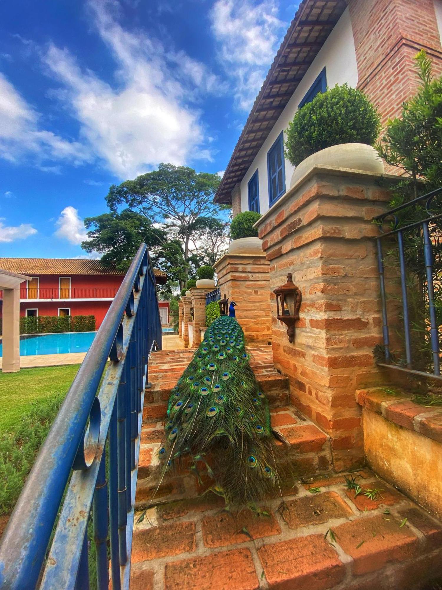 Hotel Fazenda Sao Silvano 모룽가바 외부 사진